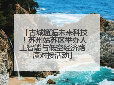 古城邂逅未来科技！苏州姑苏区举办人工智能与低空经济路演对接活动