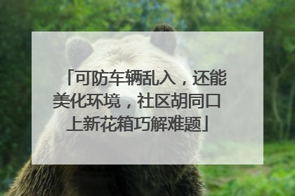 可防车辆乱入，还能美化环境，社区胡同口上新花箱巧解难题