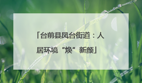 台前县凤台街道：人居环境“焕”新颜