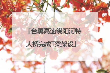 台黑高速绕阳河特大桥完成T梁架设