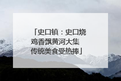 史口镇：史口烧鸡香飘黄河大集 传统美食受热捧