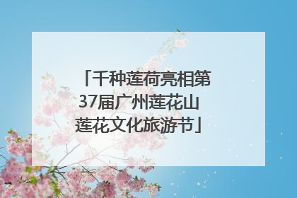 千种莲荷亮相第37届广州莲花山莲花文化旅游节