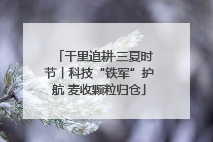 千里追耕·三夏时节丨科技“铁军”护航 麦收颗粒归仓