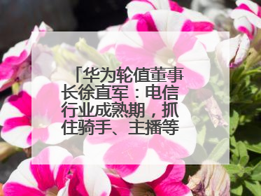 华为轮值董事长徐直军：电信行业成熟期，抓住骑手、主播等成长型需求