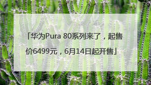 华为Pura 80系列来了，起售价6499元，6月14日起开售
