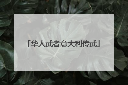 华人武者意大利传武