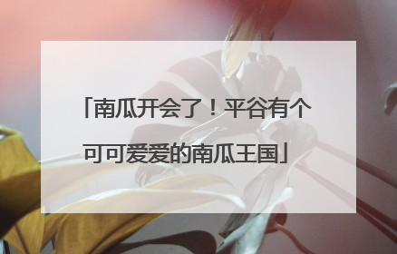 南瓜开会了！平谷有个可可爱爱的南瓜王国