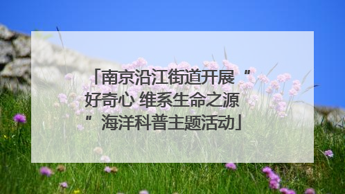 南京沿江街道开展“好奇心 维系生命之源”海洋科普主题活动