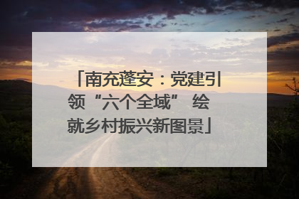 南充蓬安：党建引领“六个全域” 绘就乡村振兴新图景