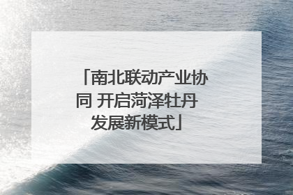 南北联动产业协同 开启菏泽牡丹发展新模式