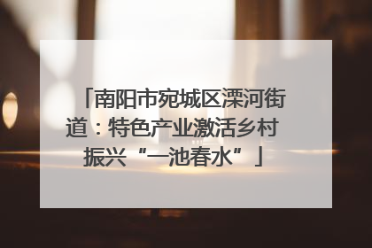 南阳市宛城区溧河街道：特色产业激活乡村振兴“一池春水”