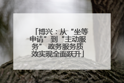 博兴：从“坐等申请”到“主动服务” 政务服务质效实现全面跃升