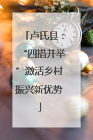 卢氏县：“四措并举”激活乡村振兴新优势