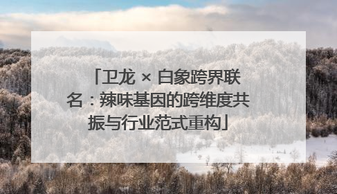 卫龙 × 白象跨界联名：辣味基因的跨维度共振与行业范式重构