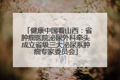 健康中国看山西：省肿瘤医院泌尿外科牵头成立省级三大泌尿系肿瘤专家委员会