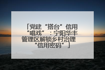 党建“搭台”信用“唱戏”：宁阳华丰管理区解锁乡村治理“信用密码”