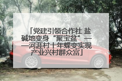 党建引领合作社 盐碱地变身“聚宝盆”——河涯村十年蝶变实现产业兴村群众富