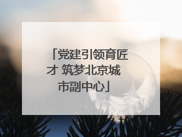 党建引领育匠才 筑梦北京城市副中心
