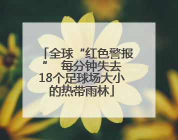 全球“红色警报” 每分钟失去18个足球场大小的热带雨林