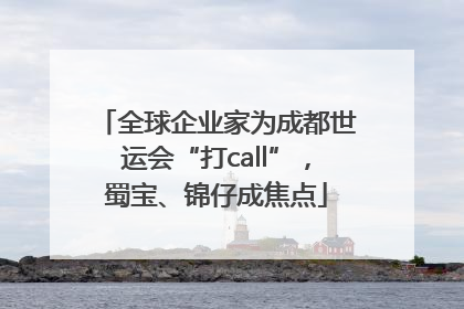 全球企业家为成都世运会“打call”，蜀宝、锦仔成焦点