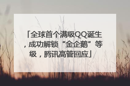 全球首个满级QQ诞生，成功解锁“金企鹅”等级，腾讯高管回应