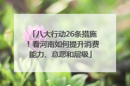 八大行动26条措施！看河南如何提升消费能力、意愿和层级