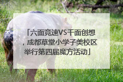 六面竞速VS千面创想，成都草堂小学子美校区举行第四届魔方活动