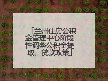 兰州住房公积金管理中心阶段性调整公积金提取、贷款政策