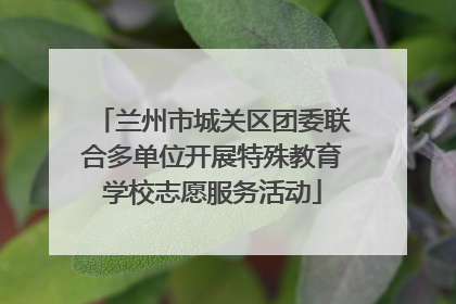 兰州市城关区团委联合多单位开展特殊教育学校志愿服务活动