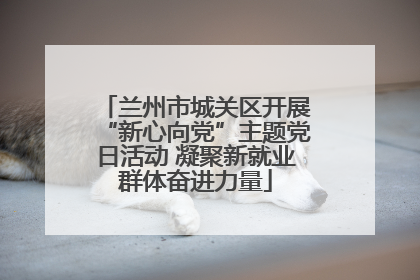 兰州市城关区开展“新心向党”主题党日活动 凝聚新就业群体奋进力量