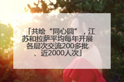共绘“同心圆”，江苏和拉萨平均每年开展各层次交流200多批、近2000人次