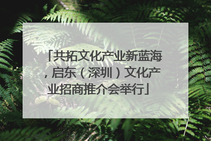共拓文化产业新蓝海，启东（深圳）文化产业招商推介会举行