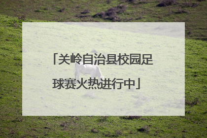 关岭自治县校园足球赛火热进行中