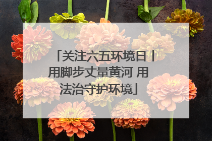 关注六五环境日丨用脚步丈量黄河 用法治守护环境
