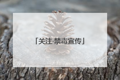 关注·禁毒宣传