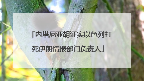 内塔尼亚胡证实以色列打死伊朗情报部门负责人