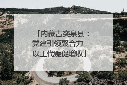 内蒙古突泉县：党建引领聚合力 以工代赈促增收