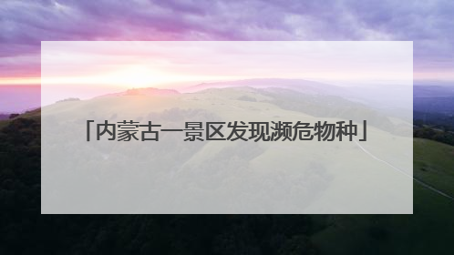 内蒙古一景区发现濒危物种