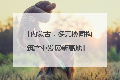 内蒙古：多元协同构筑产业发展新高地