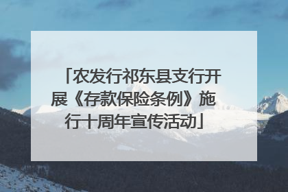 农发行祁东县支行开展《存款保险条例》施行十周年宣传活动