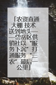 农资直通大棚 技术送到地头——岱岳区供销社以“服务下沉”打通服务“三农”最后一公里