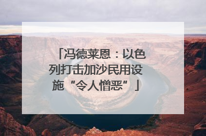 冯德莱恩：以色列打击加沙民用设施“令人憎恶”