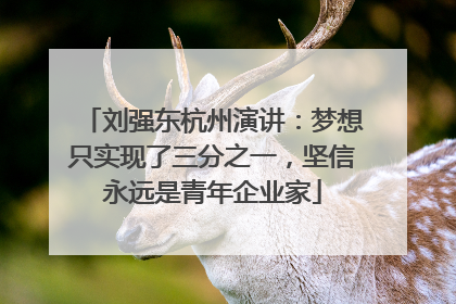 刘强东杭州演讲：梦想只实现了三分之一，坚信永远是青年企业家