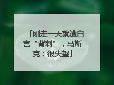 刚走一天就遭白宫“背刺”，马斯克：很失望