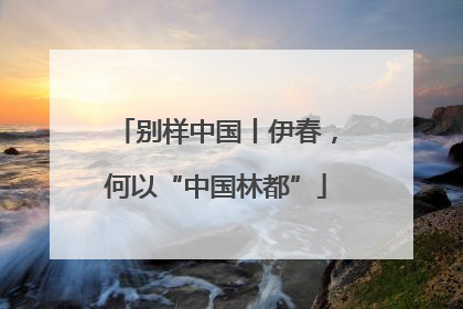 别样中国丨伊春，何以“中国林都”