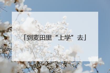 到麦田里“上学”去