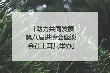 助力共同发展 第八届进博会座谈会在土耳其举办
