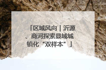 区域风向｜沂源、商河探索县域城镇化“双样本”