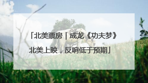 北美票房｜成龙《功夫梦》北美上映，反响低于预期