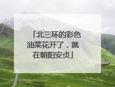 北三环的彩色油菜花开了，就在朝阳安贞